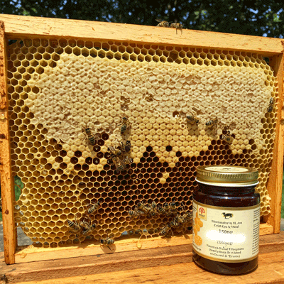 Mleczko pszczele plaster