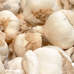 Czosnek